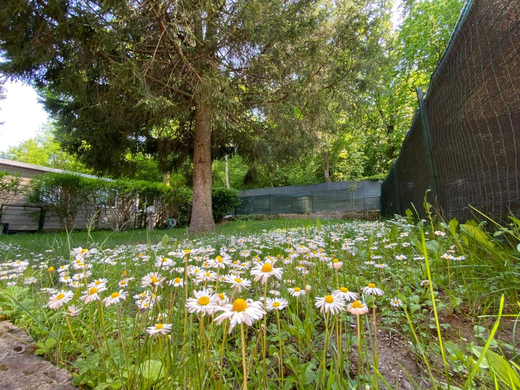 Camping Montorfano Exterior photo